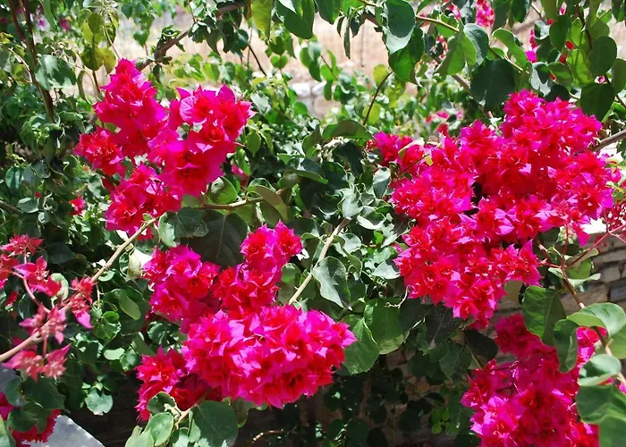 Siroco's And アパートホテル 3*