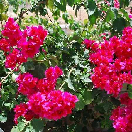 Siroco's And Lejlighedshotel 3*